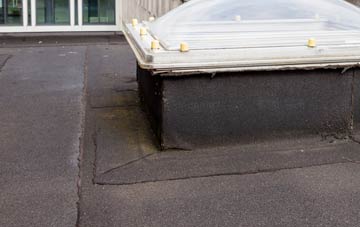 disadvantages of Blackland flat roofs