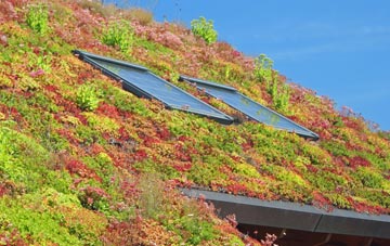 Blackland living roof systems