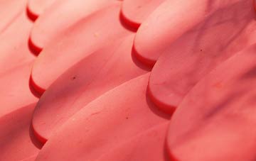 Blackland plastic roof costs