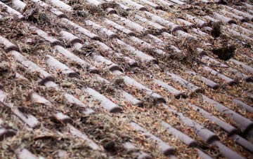 Blackland roof cleaning companies