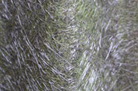 Blackland fibreglass roof work